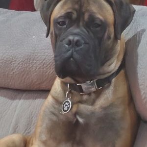 Meet your Posher, Cheryl